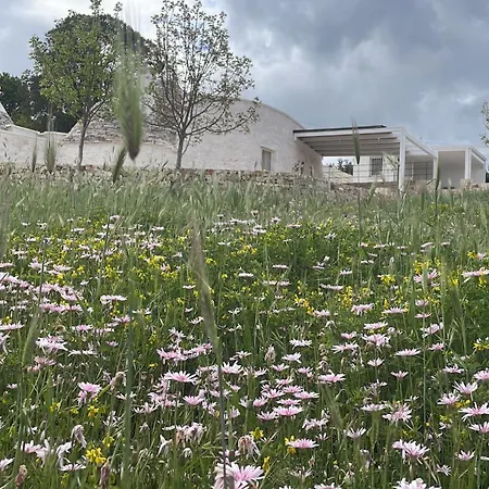 Trulli - Coni Di Luce Holiday home