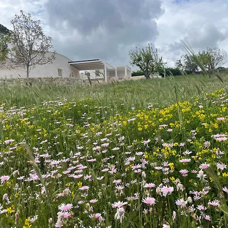Holiday home Trulli - Coni Di Luce